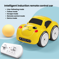 Magic Remote & Induction Controlled Car