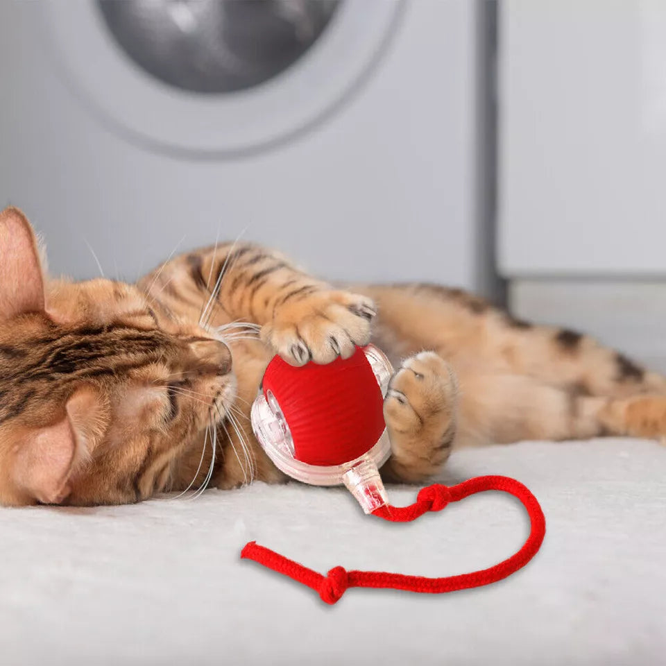 Automatic Cat Interactive Rolling Ball
